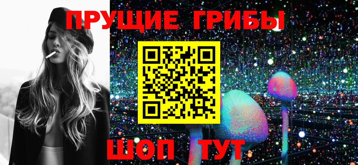 Кореновск  Галлюциногенные грибы прущие грибы  Вход с VPN 